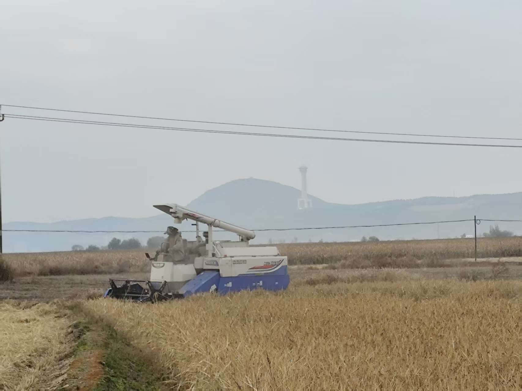 秋收进行时 | 田畴沃野庆丰收 多措并举保归仓