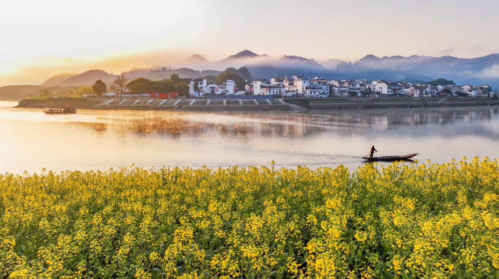 两会世界观察｜生态环境法典彰显中国全球引领作用