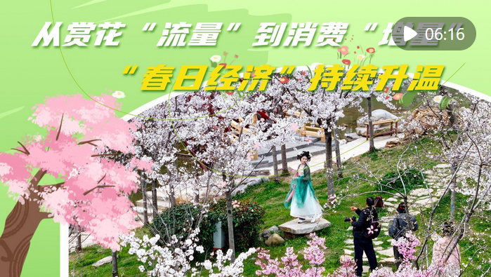 从赏花“流量”到消费“增量” “春日经济”持续升温
