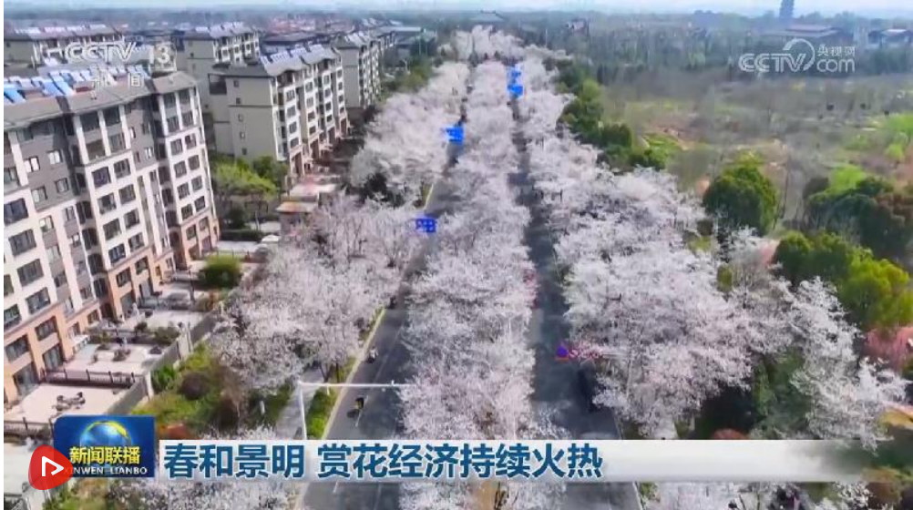 春和景明 赏花经济持续火热