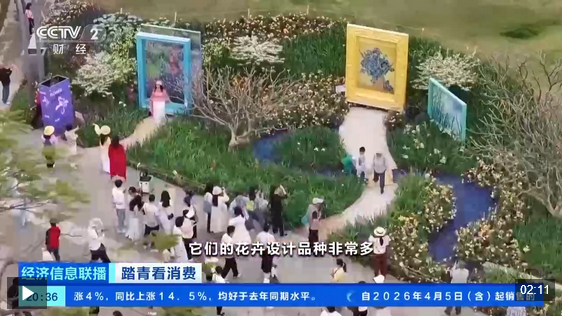 视频丨清明假期“北上赏春”成港澳居民热门选择