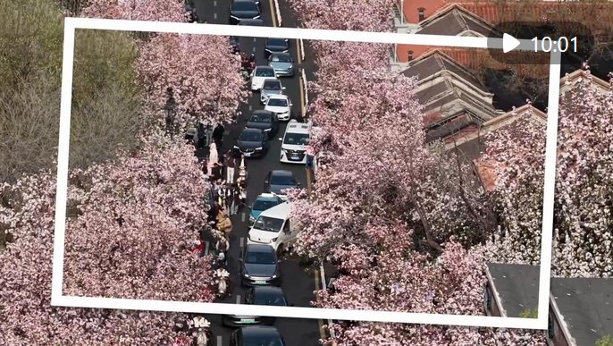 新华视点｜“春日经济”激活文旅消费新活力