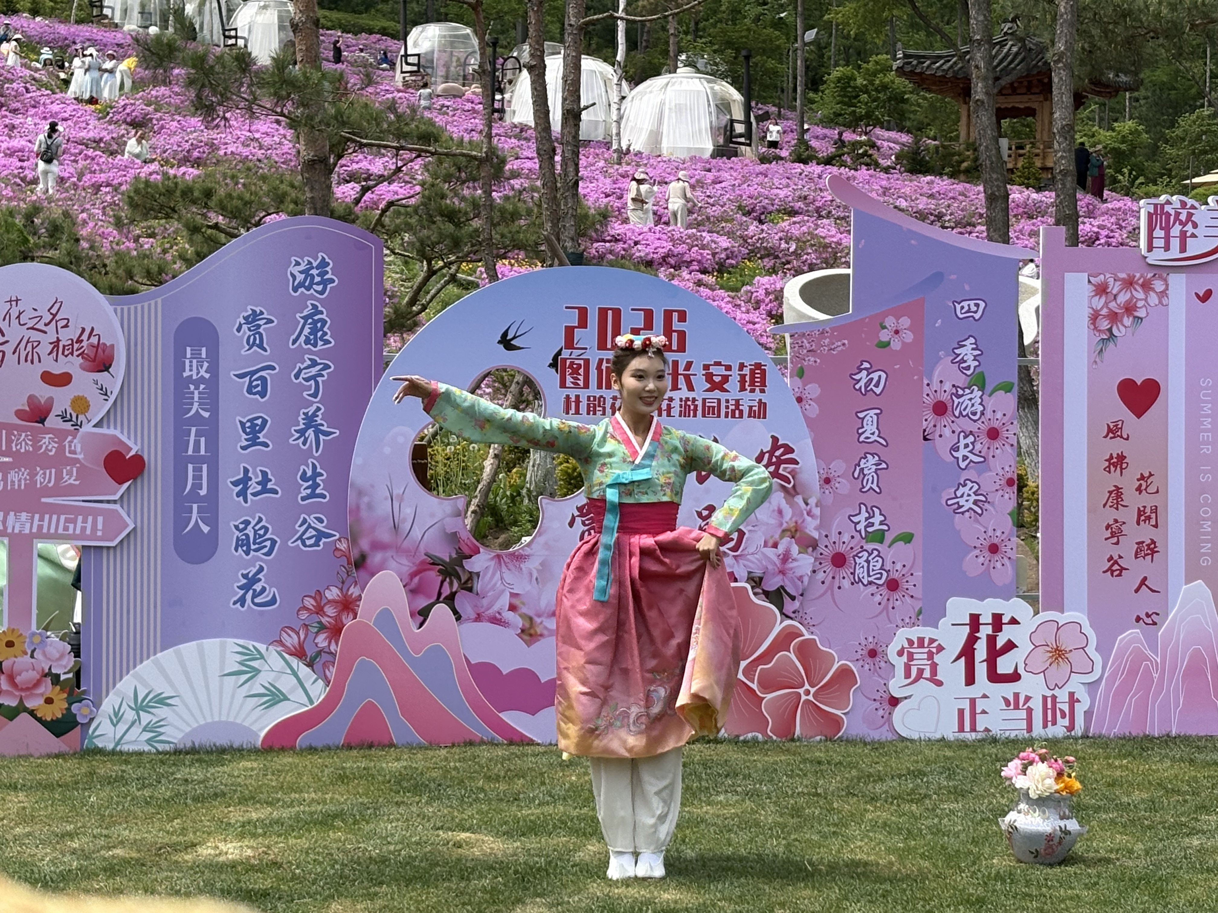 2026年图们市长安镇第二届杜鹃花赏花游园活动举行