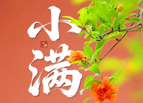 文化中国行·联播一瞬丨小满未满 自在安然