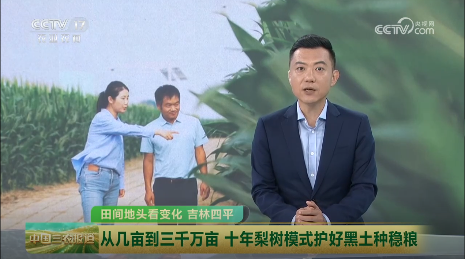 田间地头看变化 吉林四平 从几亩到三千万亩 十年梨树模式护好黑土种稳粮