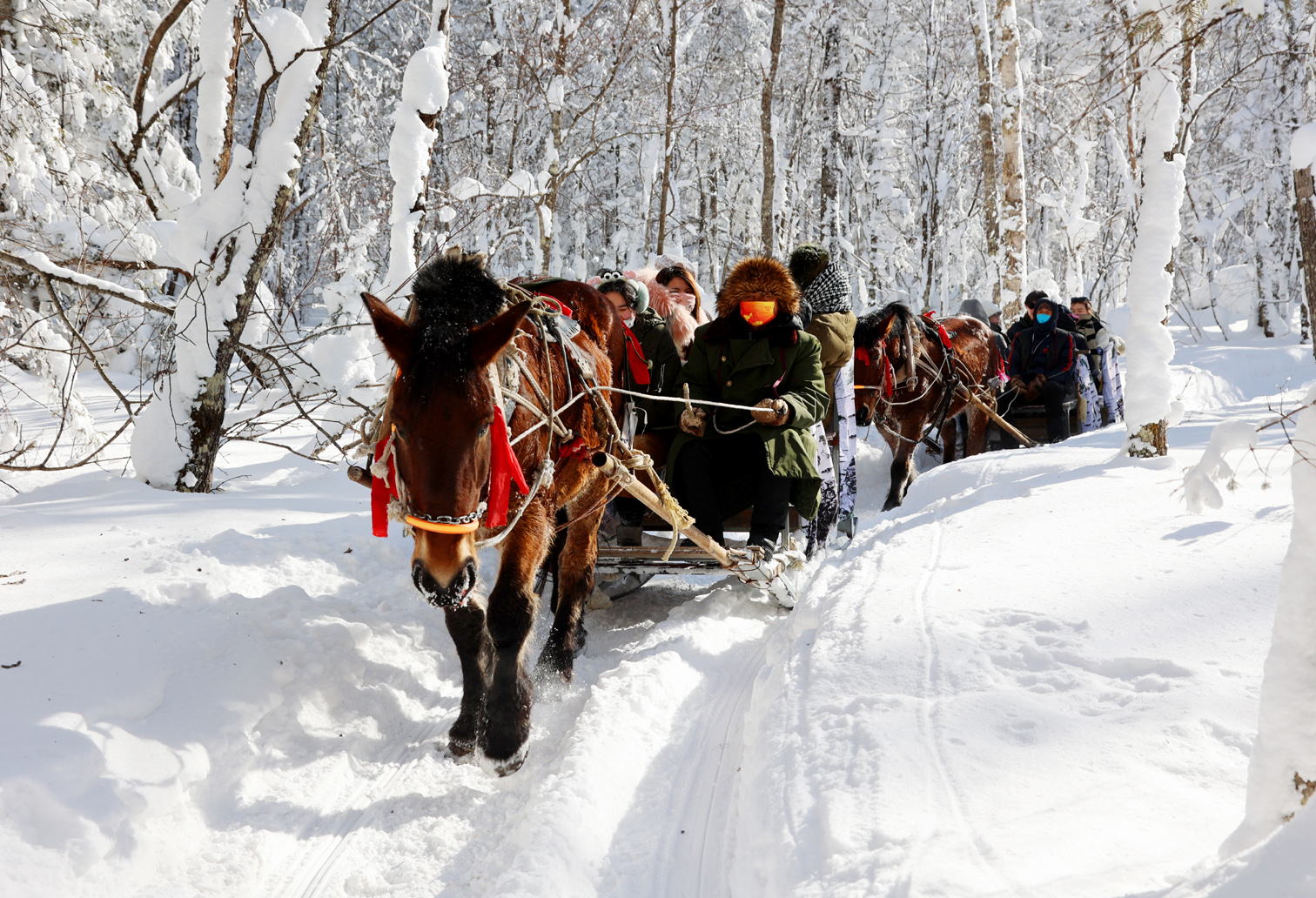 哈尔滨雪乡旅游攻略